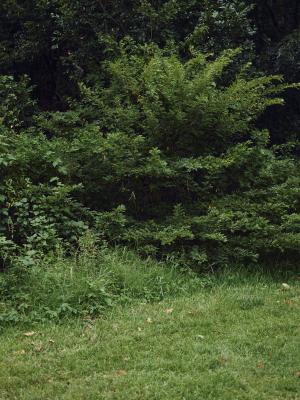 Playlist: Autumn 2026