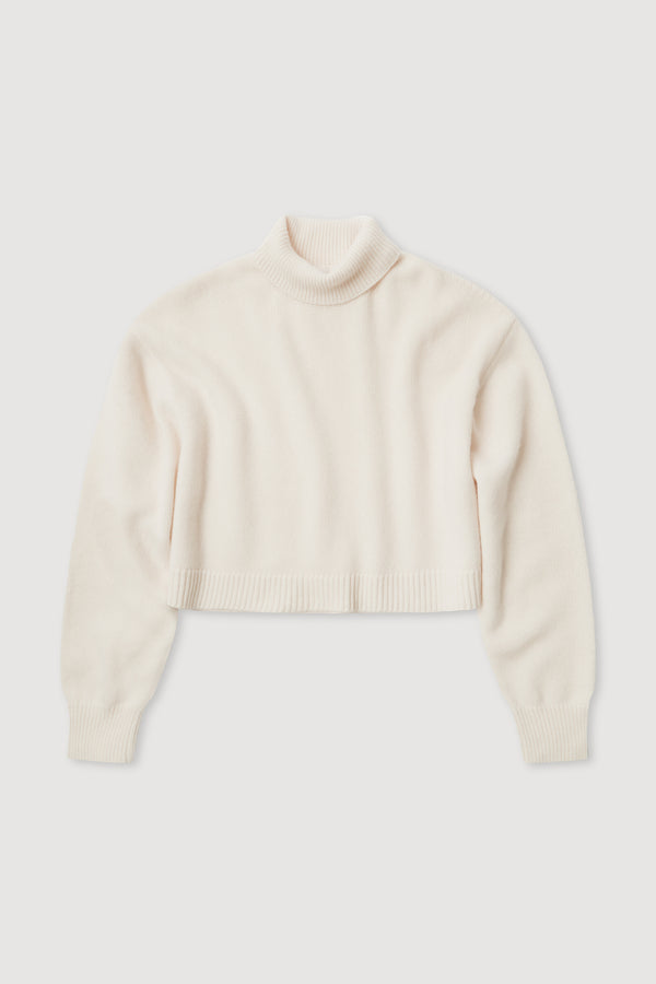 Paris Wool Cashmere Knit Turtleneck