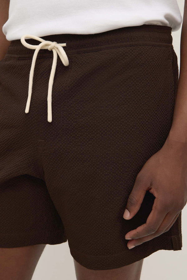 Seth Swim Short Ganache-6