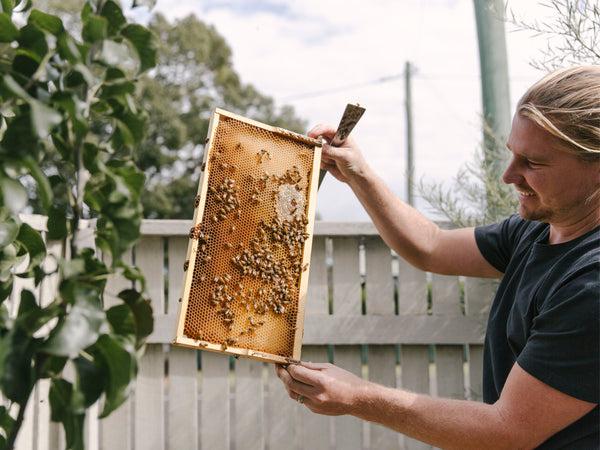 Hayley & Roger Mason from Settler Hives