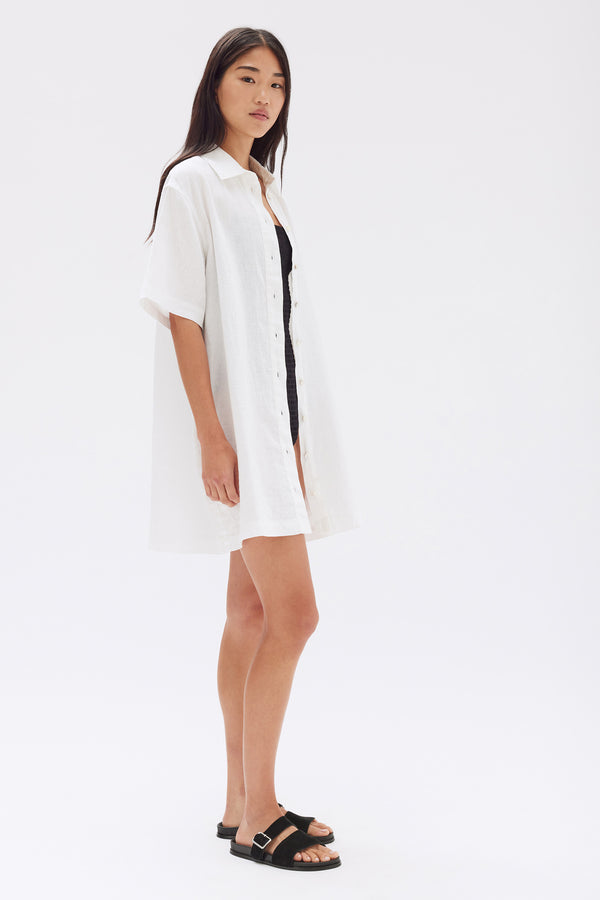 Louise Linen Mini Shirt Dress