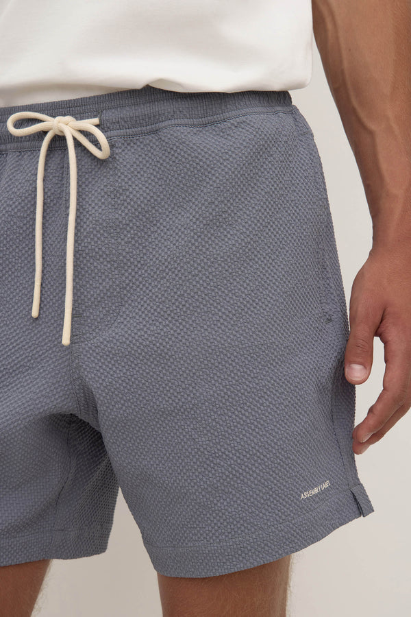 Seth_Swim_Short_Ashphalt_0897