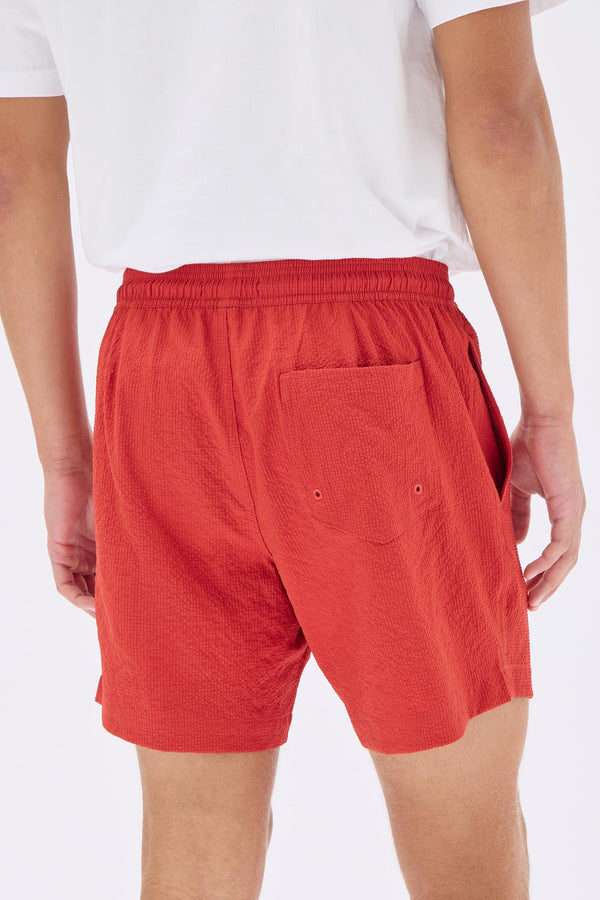 Seth Swim Short